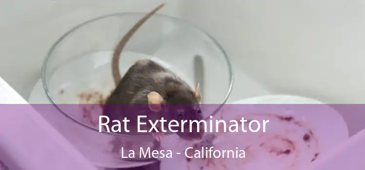 Rat Exterminator La Mesa - California