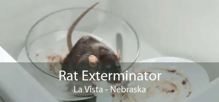 Rat Exterminator La Vista - Nebraska