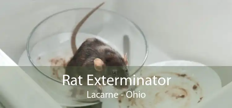 Rat Exterminator Lacarne - Ohio