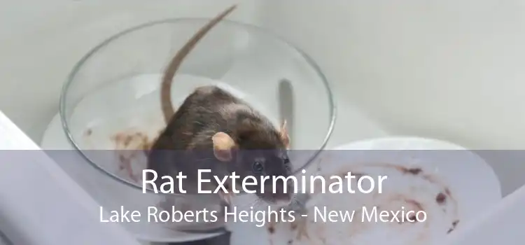 Rat Exterminator Lake Roberts Heights - New Mexico