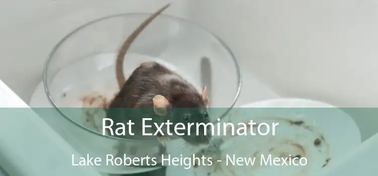 Rat Exterminator Lake Roberts Heights - New Mexico