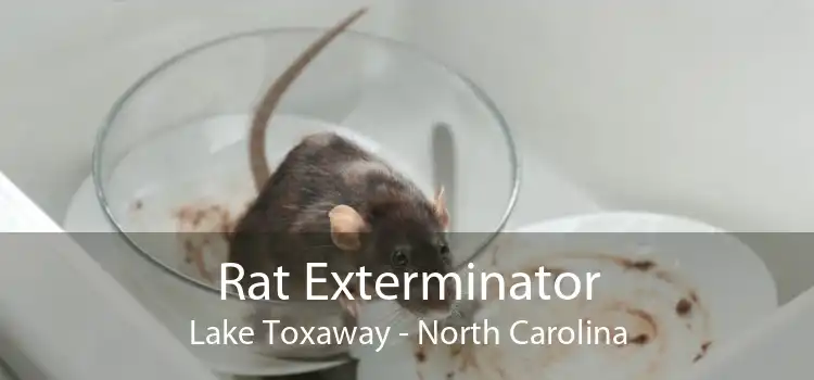 Rat Exterminator Lake Toxaway - North Carolina