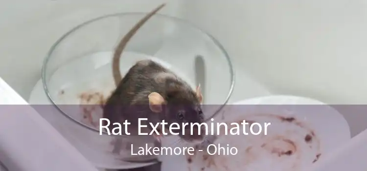 Rat Exterminator Lakemore - Ohio