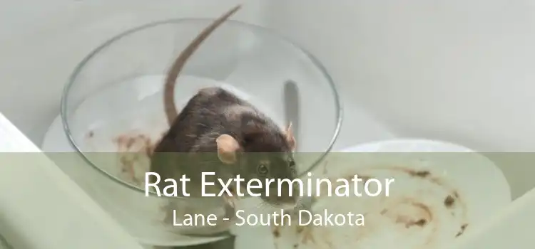 Rat Exterminator Lane - South Dakota
