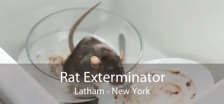 Rat Exterminator Latham - New York