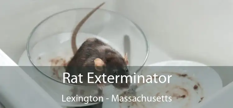 Rat Exterminator Lexington - Massachusetts