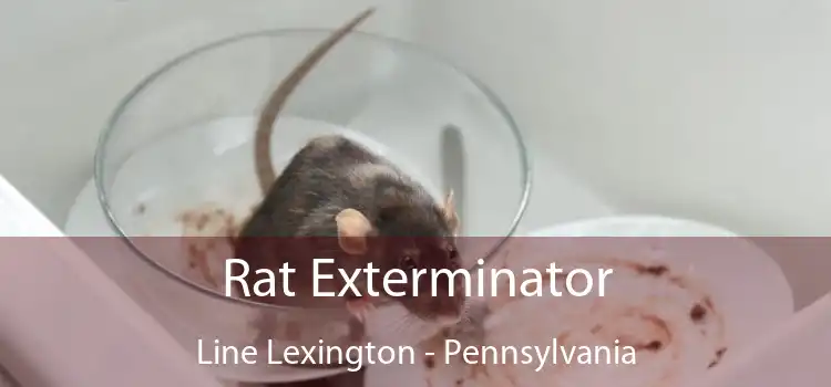 Rat Exterminator Line Lexington - Pennsylvania