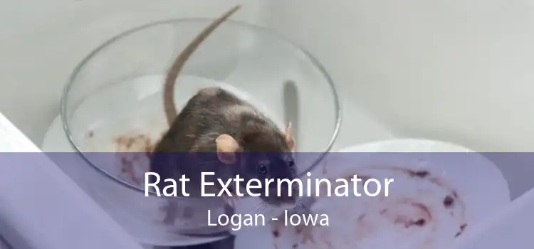 Rat Exterminator Logan - Iowa