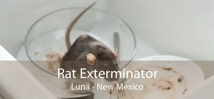 Rat Exterminator Luna - New Mexico