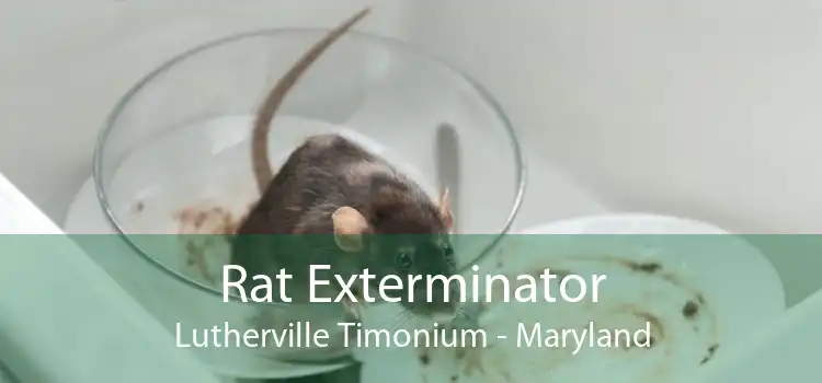 Rat Exterminator Lutherville Timonium - Maryland