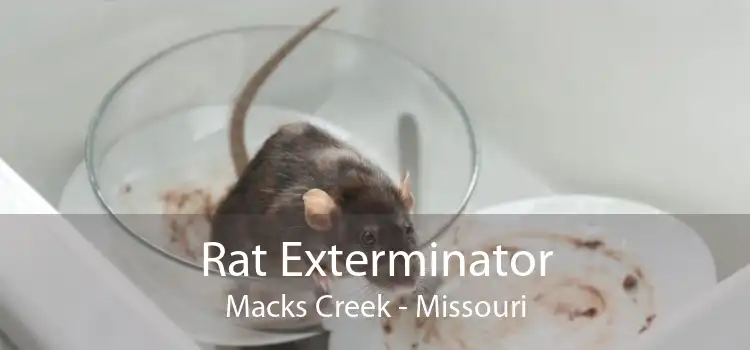 Rat Exterminator Macks Creek - Missouri
