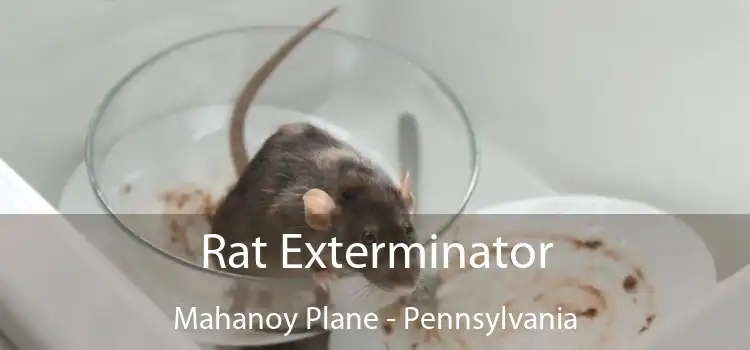 Rat Exterminator Mahanoy Plane - Pennsylvania