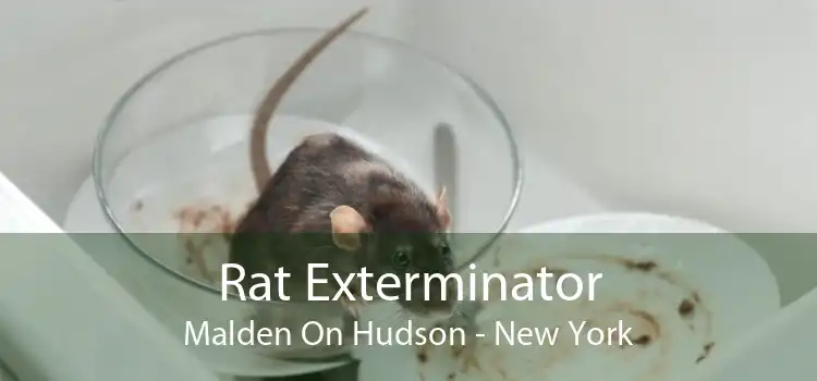 Rat Exterminator Malden On Hudson - New York