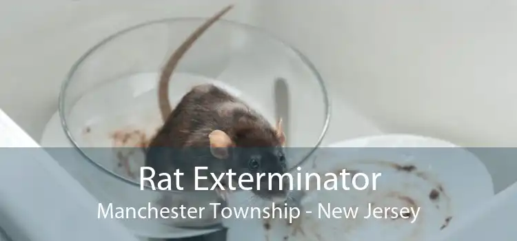 Rat Exterminator Manchester Township - New Jersey