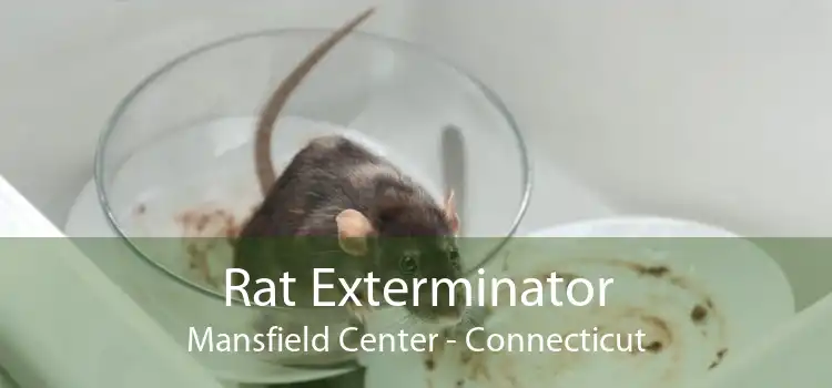 Rat Exterminator Mansfield Center - Connecticut