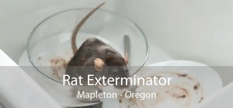Rat Exterminator Mapleton - Oregon