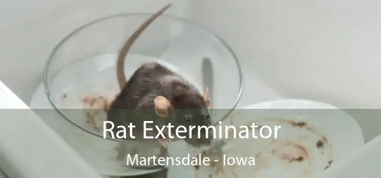 Rat Exterminator Martensdale - Iowa