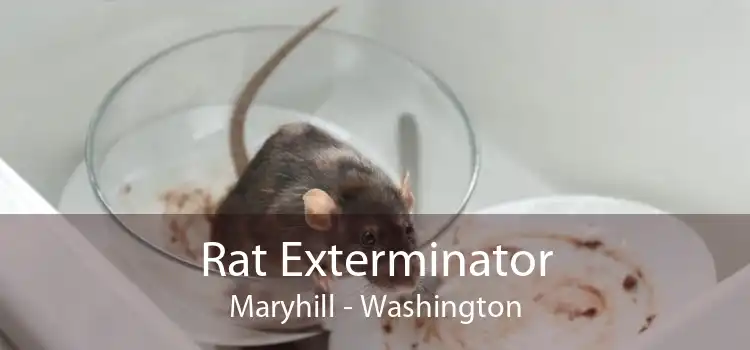 Rat Exterminator Maryhill - Washington