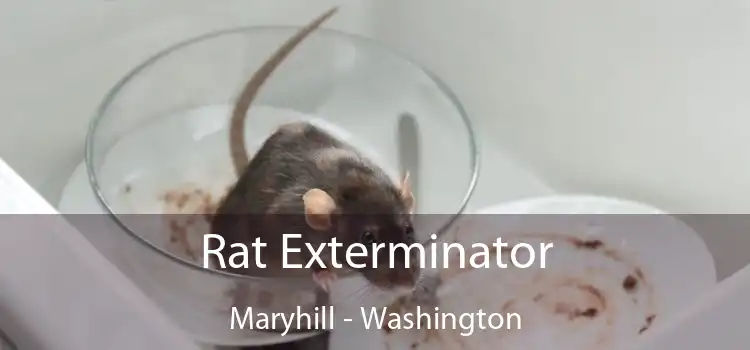 Rat Exterminator Maryhill - Washington