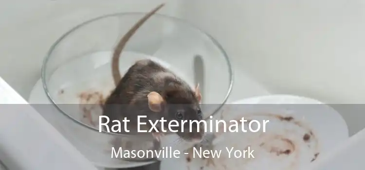 Rat Exterminator Masonville - New York