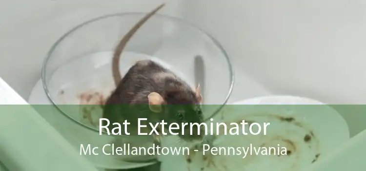 Rat Exterminator Mc Clellandtown - Pennsylvania