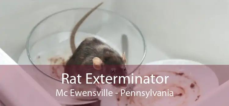 Rat Exterminator Mc Ewensville - Pennsylvania