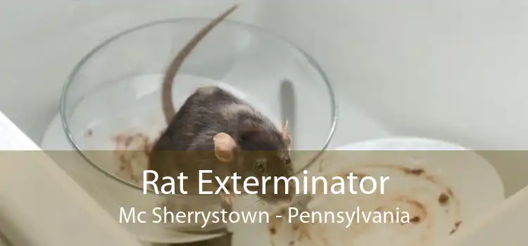 Rat Exterminator Mc Sherrystown - Pennsylvania