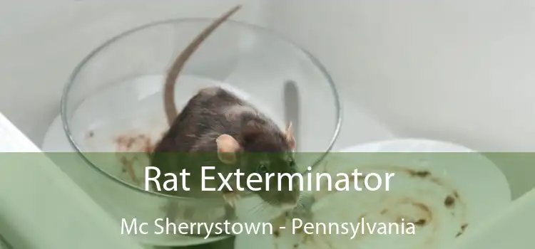 Rat Exterminator Mc Sherrystown - Pennsylvania