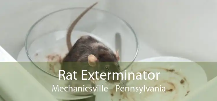 Rat Exterminator Mechanicsville - Pennsylvania