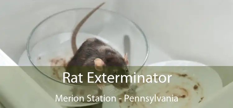 Rat Exterminator Merion Station - Pennsylvania