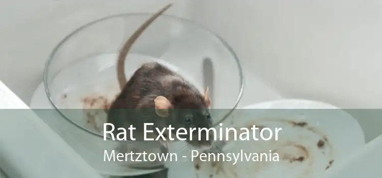 Rat Exterminator Mertztown - Pennsylvania