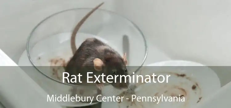 Rat Exterminator Middlebury Center - Pennsylvania
