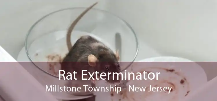 Rat Exterminator Millstone Township - New Jersey
