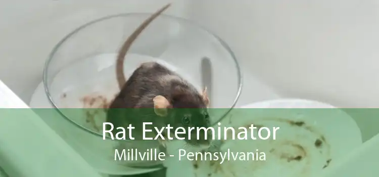 Rat Exterminator Millville - Pennsylvania
