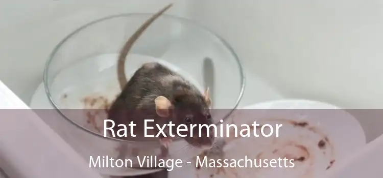 Rat Exterminator Milton Village - Massachusetts