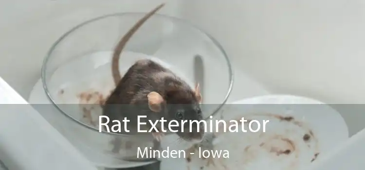 Rat Exterminator Minden - Iowa