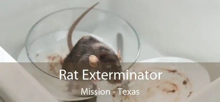 Rat Exterminator Mission - Texas