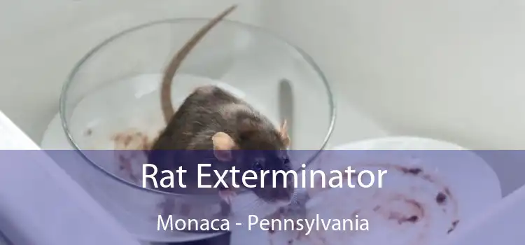 Rat Exterminator Monaca - Pennsylvania