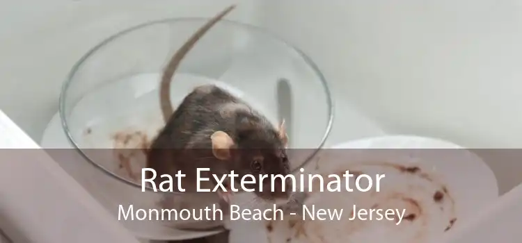 Rat Exterminator Monmouth Beach - New Jersey