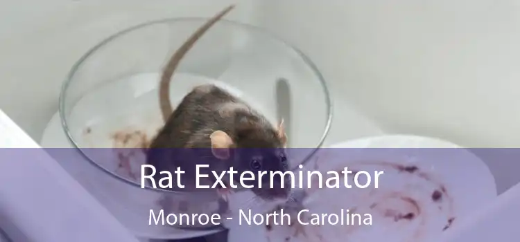 Rat Exterminator Monroe - North Carolina