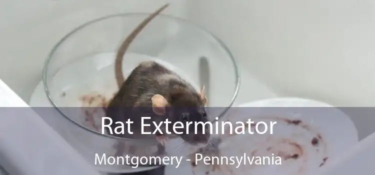 Rat Exterminator Montgomery - Pennsylvania