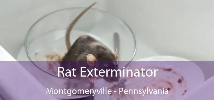 Rat Exterminator Montgomeryville - Pennsylvania
