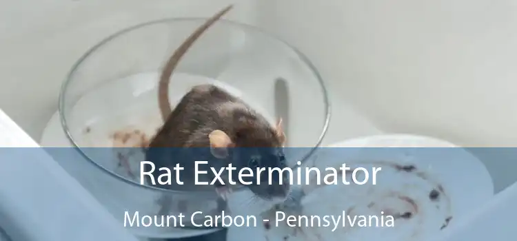 Rat Exterminator Mount Carbon - Pennsylvania