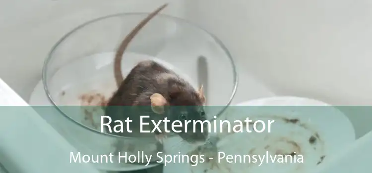 Rat Exterminator Mount Holly Springs - Pennsylvania