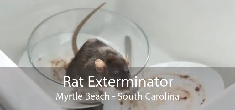 Rat Exterminator Myrtle Beach - South Carolina