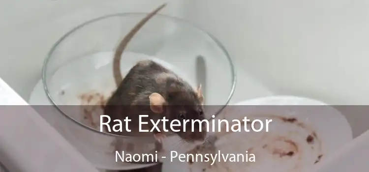 Rat Exterminator Naomi - Pennsylvania