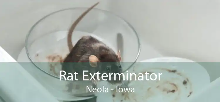 Rat Exterminator Neola - Iowa