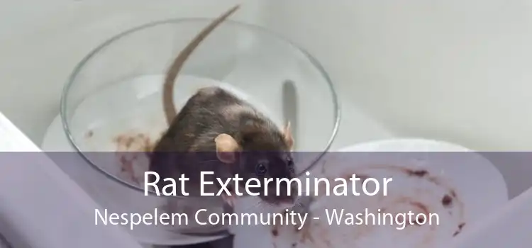 Rat Exterminator Nespelem Community - Washington