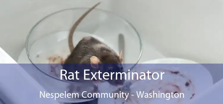 Rat Exterminator Nespelem Community - Washington