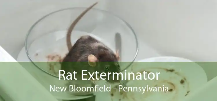 Rat Exterminator New Bloomfield - Pennsylvania